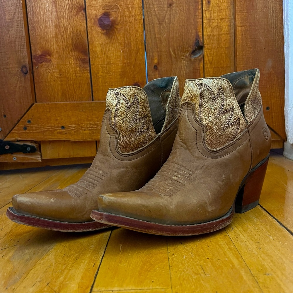 Ariat Dixon